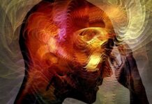 Felsefi düşüncenin en temel sorularından biri olan bilginin kaynağı, yüzyıllardır tartışılmaya devam ediyor. İnsan zihninin bilgiye nasıl ulaştığı, düşünce mi deneyimi doğurur yoksa deneyim mi düşünceyi, bu soruların merkezinde yer alıyor. Bu noktada iki büyük felsefi yaklaşım çarpışıyor: rasyonalizm ve empirizm. Rasyonalizm, aklın ve zihinsel süreçlerin bilgiyi doğrudan sağladığını öne sürerken; empirizm, tüm bilginin duyusal deneyimle başladığını savunur. Bu yazıda rasyonalizmin düşünsel temelleri, bu anlayışın modern dünyadaki yansımaları ve eleştirileri detaylı biçimde ele alınıyor. Konulu bir haber görseli.