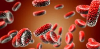 Anemi, halk arasında “kansızlık” olarak da bilinen, kandaki kırmızı kan hücresi (eritrosit) sayısının ya da bu hücrelerin içerdiği hemoglobin düzeyinin normalin altına düşmesiyle ortaya çıkan yaygın bir sağlık sorunudur. Vücuda oksijen taşıyan bu hücrelerin azalması, dokulara yeterli oksijen ulaşamamasına ve bunun sonucunda pek çok belirtiye neden olur. Yorgunluk, halsizlik, baş dönmesi, soluk cilt ve nefes darlığı gibi semptomlar aneminin en sık görülen etkilerindendir. Anemi hastalığı, altında yatan nedenlere bağlı olarak farklı türlere ayrılır ve tedavi yöntemi de buna göre değişiklik gösterir. Konulu bir haber görseli.