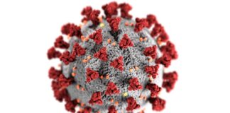 COVID-19, tüm dünyada milyonlarca insanın hayatını kaybetmesine yol açan, aynı zamanda küresel sağlık, ekonomik ve toplumsal sistemleri derinden etkileyen bir pandemi olmuştur. Ancak 2020 yılından itibaren yoğun mücadeleye rağmen, hastalığın etkileri ve tehlikesi birçok ülkede hâlâ hissedilmektedir. Aşıların geliştirilmesi, tedavi yöntemlerinin iyileştirilmesi ve sağlık sistemlerinin güçlendirilmesi gibi birçok gelişmeye rağmen, COVID-19'un tehdit oluşturma durumu, yerel ve küresel ölçekte dikkatle izlenmeye devam etmektedir. Konulu bir haber görseli.