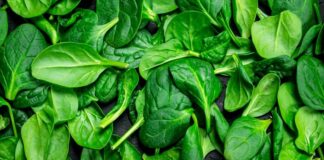 Demir eksikliği anemisi, yorgunluk ve halsizliğin en yaygın ancak çoğu zaman gözden kaçan nedenlerinden biridir. Birçok kişi, sürekli olarak yorgunluk, halsizlik ve enerji kaybı yaşasa da bunun nedeni genellikle demir eksikliği gibi basit bir sağlık sorunu olabilir. Demir, vücudumuzun doğru şekilde işlev görmesi için temel bir mineraldir. Özellikle kırmızı kan hücrelerinin üretimi ve oksijen taşınması açısından kritik bir rol oynar. Ancak demir eksikliği, bir süre fark edilmeden ilerleyebilir ve sonunda anemiye yol açabilir. Bu yazıda, demir eksikliği anemisinin belirtilerini, nedenlerini ve tedavi yöntemlerini ele alacağız. Tüm haber detayı için tıklayınız.