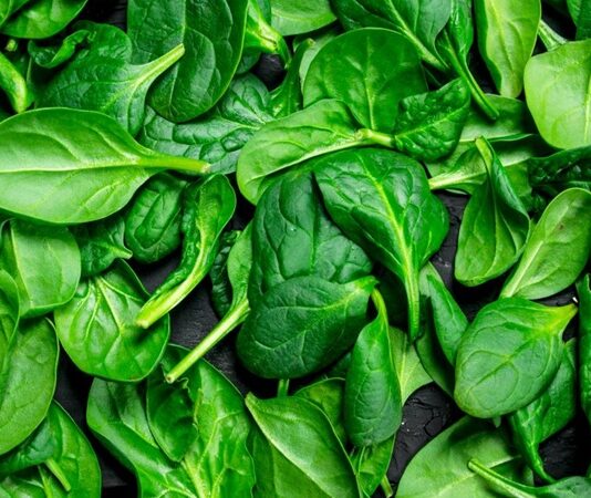 Demir eksikliği anemisi, yorgunluk ve halsizliğin en yaygın ancak çoğu zaman gözden kaçan nedenlerinden biridir. Birçok kişi, sürekli olarak yorgunluk, halsizlik ve enerji kaybı yaşasa da bunun nedeni genellikle demir eksikliği gibi basit bir sağlık sorunu olabilir. Demir, vücudumuzun doğru şekilde işlev görmesi için temel bir mineraldir. Özellikle kırmızı kan hücrelerinin üretimi ve oksijen taşınması açısından kritik bir rol oynar. Ancak demir eksikliği, bir süre fark edilmeden ilerleyebilir ve sonunda anemiye yol açabilir. Bu yazıda, demir eksikliği anemisinin belirtilerini, nedenlerini ve tedavi yöntemlerini ele alacağız. Tüm haber detayı için tıklayınız.