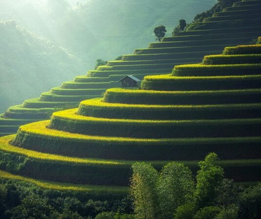 Doğa bilimleri, doğadaki olayları, süreçleri ve sistemleri anlamaya çalışan bilimsel bir disiplindir. Bu alanda yapılan çalışmalar, evrenin nasıl işlediği ve doğadaki canlılar ile cansızlar arasındaki etkileşimleri anlamamıza yardımcı olur. Doğa bilimleri yalnızca insanın çevresini anlamasını sağlamakla kalmaz, aynı zamanda bu bilgileri, doğayla uyumlu bir yaşam sürdürmek için de kullanabilir. İnsanlık tarihindeki en büyük keşiflerden pek çoğu, doğa bilimleri sayesinde yapılmıştır ve bu bilim dalı, teknolojinin, tıbbın ve çevre biliminin temel taşlarını oluşturur. Konulu bir haber görseli.