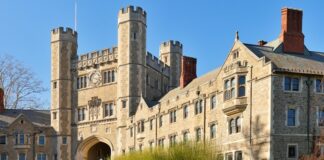 Doktora, bir akademik yolculuğun zirve noktalarından biri olarak kabul edilir. Lisans ve yüksek lisans eğitimlerinin ardından, öğrencilerin belirli bir alanda derinlemesine bilgi edinmeleri ve özgün katkılarda bulunmaları gereken bir süreçtir. Doktora programları, genellikle araştırma yapmayı ve bilimsel bilgi üretmeyi hedefler. Bu aşama, akademik kariyerin en prestijli ve uzun soluklu dönemlerinden biridir. Doktora eğitimi, sadece bir akademik unvan kazandırmakla kalmaz, aynı zamanda öğrencilerin çeşitli becerilerini geliştirerek topluma önemli katkılarda bulunmalarını sağlar. Konulu bir haber görseli.