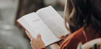 Geleneksel olarak okuryazarlık, bir kişinin harfleri tanıyabilme, yazı okuyup yazabilme becerisi olarak tanımlanmıştır. Bu tanım uzun yıllar boyunca eğitim politikalarının temelini oluşturmuş, bireylerin bilgiye erişimi bu yetiler üzerinden değerlendirilmiştir. Ancak dijital çağla birlikte bu tanım tartışmalı hale gelmiştir. Artık sadece alfabetik beceriler değil, bilgiye ulaşma, değerlendirme ve üretme becerileri de bu kavramın içine dahil edilmiştir. Peki, okuryazarlık hâlâ sadece harfleri tanımak mıdır? Konulu bir haber görseli.