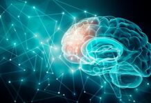 Felsefe tarihinde tartışmaların merkezinde yer alan bir soru: “Gerçeklik nedir?” Duyularımızla algıladığımız dünya gerçekten var mı, yoksa sadece zihnimizin bir ürünü mü? Bu sorular, özellikle idealizm felsefesi çerçevesinde, insanlığın zihinsel yolculuğunda defalarca gündeme gelmiş, yeniden sorgulanmış ve farklı yorumlarla yeniden ele alınmıştır. Günümüzde yapay zeka, sanal gerçeklik ve nörobilim gibi alanların gelişimiyle birlikte bu klasik felsefi sorular yeniden gün yüzüne çıkıyor. Konulu bir haber görseli.