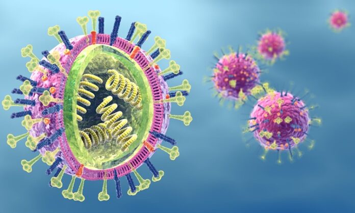 Flu. Influenza viruses with RNA, surface proteins hemagglutinin and neuraminidase, medically 3D illustration Soğuk algınlığı ve influenza, her ikisi de üst solunum yolu enfeksiyonlarıdır ve çoğu kişi bu iki hastalığı birbirine benzer zanneder. Ancak aslında, her iki hastalık farklı virüslerden kaynaklanır ve farklı semptomlar ile seyreder. Soğuk algınlığı, genellikle daha hafif bir hastalık olarak kabul edilirken, influenza daha şiddetli olabilir ve komplikasyonlara yol açabilir. Bu iki hastalık arasındaki farkları anlamak, doğru tedavi ve önleme stratejilerini belirlemek için son derece önemlidir. Konulu bir haber görseli.
