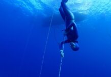 Serbest dalış, insanın yalnızca nefesini tutarak deniz, göl ya da okyanus gibi su kütlelerinin derinliklerine inmesini konu alan, hem spor hem de bir tür zihinsel disiplin olarak kabul edilen özel bir aktivitedir. Teknolojik ekipmanlar kullanmaksızın yapılan bu dalış türü, doğayla bütünleşmenin en yalın halidir. Her yıl binlerce insanı cezbeden bu aktivite, sadece fiziksel değil aynı zamanda ruhsal bir yolculuk sunar. Derinlik, sessizlik ve sonsuz mavilik içinde zamanın durduğu bir deneyimdir bu. Konulu bir haber görseli.