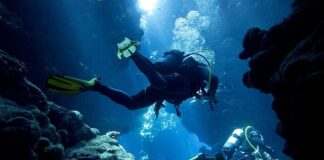 Dalgıçlık, sualtı dünyasını keşfetmek, denizlerin derinliklerine inmek ve okyanusların gizemlerini açığa çıkarmak isteyen binlerce insanın tutkusu haline gelmiş bir spor ve meslek dalıdır. Modern ekipmanlarla yapılan bu faaliyet, hem sportif hem de bilimsel amaçlarla gerçekleştirilebiliyor. Özellikle son yıllarda artan çevre farkındalığı ve ekstrem sporlara yönelim, dalgıçlığa olan ilgiyi büyük ölçüde artırdı. Konulu bir haber görseli.