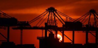 Günümüzde girişimcilik, farklı iş modelleriyle hızla büyüyen bir alan haline gelmiştir. Özellikle teknoloji ve internetin sunduğu olanaklarla birlikte, tek başına bir iş kurmak ve işletmek, her geçen gün daha da yaygınlaşmaktadır. Bu bağlamda, tek kişilik şirketler de önemli bir ticaret şekli olarak dikkat çekmektedir. Tek kişilik şirket, yalnızca bir kişi tarafından yönetilen ve faaliyet gösteren bir işletme modelini ifade eder. Ancak, tek kişilik şirketler konusunda hâlâ pek çok kişi net bilgiye sahip değildir. Konulu bir haber görseli.