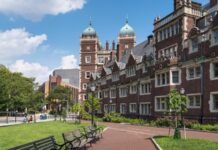 Yandal, üniversitelerde ana dalın dışında, bir öğrencinin belirli bir alanda ek olarak yaptığı eğitim programına verilen isimdir. Bu program, öğrencilerin eğitimlerine daha geniş bir perspektif katmalarını sağlar ve profesyonel yaşamda daha geniş bir bilgi yelpazesi oluşturur. Yandal, genellikle öğrencilerin ilgi duydukları veya kendi kariyer hedeflerine daha uygun olan alanlarda ek bilgi edinmelerini mümkün kılar. Bu şekilde, bir öğrenci, ana dalındaki eğitimini tamamladıktan sonra farklı bir alanda da uzmanlık kazanabilir. Konulu bir haber görseli.