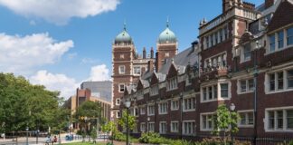 Yandal, üniversitelerde ana dalın dışında, bir öğrencinin belirli bir alanda ek olarak yaptığı eğitim programına verilen isimdir. Bu program, öğrencilerin eğitimlerine daha geniş bir perspektif katmalarını sağlar ve profesyonel yaşamda daha geniş bir bilgi yelpazesi oluşturur. Yandal, genellikle öğrencilerin ilgi duydukları veya kendi kariyer hedeflerine daha uygun olan alanlarda ek bilgi edinmelerini mümkün kılar. Bu şekilde, bir öğrenci, ana dalındaki eğitimini tamamladıktan sonra farklı bir alanda da uzmanlık kazanabilir. Konulu bir haber görseli.