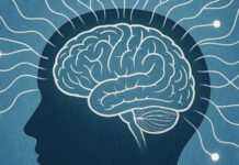 Zihin Haritası Tekniği Öğrencilerin Öğrenmesini Kolaylaştırır mı Eğitimde, öğrenmenin daha verimli ve etkili olabilmesi için sürekli yeni yöntemler ve teknikler geliştirilmektedir. Bu bağlamda zihin haritası tekniği, son yıllarda öğretmenler ve öğrenciler tarafından yaygın olarak kullanılan bir araç haline gelmiştir. Zihin haritaları, öğrencilerin bilgileri daha düzenli bir şekilde öğrenmelerine ve hatırlamalarına yardımcı olabilir. Ancak bu tekniğin ne kadar etkili olduğu, eğitim süreçlerinde nasıl uygulandığı ve öğrencilere sağladığı faydalar hala sıkça tartışılmaktadır. Konulu bir haber görseli.