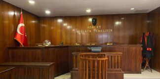 Şahitlik, adalet sisteminin en temel yapı taşlarından biri olarak hem hukuki süreçlerin sağlıklı işlemesini hem de toplumsal güvenin korunmasını sağlar. Bir olayın aydınlatılmasında şahitlik, çoğu zaman yazılı belgelerden ya da teknik raporlardan daha etkili olabilir. Çünkü olayın yaşandığı ana birebir tanıklık eden kişilerin anlatımları, hakikate ulaşma yolunda kritik bir rol üstlenir. Bu nedenle modern hukuk sistemlerinde şahit beyanları titizlikle değerlendirilir ve belirli kurallar çerçevesinde kayıt altına alınır. Konulu bir haber görseli.