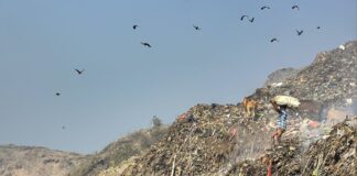 Çevre suçları, doğaya zarar veren tüm kasıtlı veya ihmal sonucu meydana gelen eylemleri içerir. Özellikle endüstriyel atıkların kontrolsüz şekilde doğaya bırakılması, hava ve su kirliliğinin artmasına yol açmaktadır. Bu durum, çevre suçları kapsamında değerlendirilen başlıca sorunlar arasında yer almaktadır. Konulu bir haber görseli.