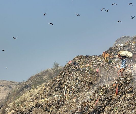 Çevre suçları, doğaya zarar veren tüm kasıtlı veya ihmal sonucu meydana gelen eylemleri içerir. Özellikle endüstriyel atıkların kontrolsüz şekilde doğaya bırakılması, hava ve su kirliliğinin artmasına yol açmaktadır. Bu durum, çevre suçları kapsamında değerlendirilen başlıca sorunlar arasında yer almaktadır. Konulu bir haber görseli.
