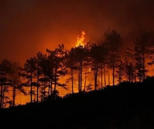 Orman yangını çıkarma suçu, yalnızca çevreye verilen bir zarar olarak değil, aynı zamanda toplumun geleceğini tehdit eden ciddi bir kamu güvenliği sorunu olarak değerlendiriliyor. Ormanlar, ekosistemin devamlılığı, iklim dengesi ve canlı yaşamı açısından hayati öneme sahipken, orman yangını çıkarma suçu bu doğal dengenin geri dönülmesi zor şekilde bozulmasına yol açıyor. Her yıl binlerce hektar orman alanının yok olması, bu suçun ne denli ağır sonuçlar doğurduğunu açıkça ortaya koyuyor. Konulu bir haber görseli.