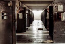 Son dönemde farklı illerde yaşanan firar olayları, kamuoyunda geniş yankı uyandırdı. Ceza infaz kurumlarından kaçış girişimleri, hem güvenlik sistemlerinin yeterliliğini hem de denetim mekanizmalarının etkinliğini tartışmaya açtı. Yetkililer her ne kadar olayların münferit olduğunu vurgulasa da art arda gelen haberler, toplumda ciddi bir cezaevi güvenliği endişesi oluşturdu. Konulu bir haber görseli.