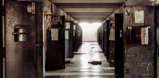 Son dönemde farklı illerde yaşanan firar olayları, kamuoyunda geniş yankı uyandırdı. Ceza infaz kurumlarından kaçış girişimleri, hem güvenlik sistemlerinin yeterliliğini hem de denetim mekanizmalarının etkinliğini tartışmaya açtı. Yetkililer her ne kadar olayların münferit olduğunu vurgulasa da art arda gelen haberler, toplumda ciddi bir cezaevi güvenliği endişesi oluşturdu. Konulu bir haber görseli.