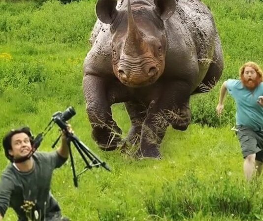 Son yıllarda hem kırsal bölgelerde hem de şehir merkezlerinde yaşanan hayvan saldırıları, toplumda güvenlik tartışmalarını yeniden gündeme taşıdı. Özellikle kontrolsüz sokak hayvanları ve doğal yaşam alanları daralan yaban türleriyle temasın artması, farklı türlerde hayvan saldırısı vakalarının yaşanmasına neden oluyor. Uzmanlar, bu olayların yalnızca bireysel değil aynı zamanda çevresel ve yapısal nedenleri bulunduğunu ifade ediyor. Konulu bir haber görseli.