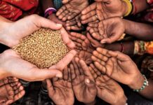 Dünya genelinde artan doğal afetler, savaşlar ve ekonomik krizler, insani yardım faaliyetlerinin önemini her geçen gün daha da artırıyor. Farklı coğrafyalarda yaşanan insani dramlar, milyonlarca insanı temel ihtiyaçlara erişim konusunda zorluyor. Bu noktada devreye giren yardım kuruluşları, acil yardım kampanyası organizasyonlarıyla gıda, barınma ve sağlık desteği sağlamaya çalışıyor. Konulu bir haber görseli.