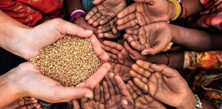 Dünya genelinde artan doğal afetler, savaşlar ve ekonomik krizler, insani yardım faaliyetlerinin önemini her geçen gün daha da artırıyor. Farklı coğrafyalarda yaşanan insani dramlar, milyonlarca insanı temel ihtiyaçlara erişim konusunda zorluyor. Bu noktada devreye giren yardım kuruluşları, acil yardım kampanyası organizasyonlarıyla gıda, barınma ve sağlık desteği sağlamaya çalışıyor. Konulu bir haber görseli.