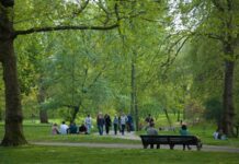 Son dönemde büyükşehirlerden küçük yerleşim yerlerine kadar pek çok noktada yaşanan park ve bahçe olayları, kamuoyunun dikkatini çekmeye devam ediyor. Özellikle akşam saatlerinde meydana gelen asayiş vakaları, hem mahalle sakinlerini hem de yerel yöneticileri harekete geçirdi. Vatandaşlar, çocuklarını güvenle oyun alanlarına götürmek isterken artan güvenlik sorunu nedeniyle tedirginlik yaşıyor. Konulu bir haber görseli.