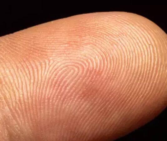 Küresel ölçekte artan göç hareketleri, devletlerin kimliklendirme ve kayıt sistemlerini daha güvenilir hale getirme ihtiyacını beraberinde getirdi. Savaşlar, ekonomik krizler ve iklim değişikliği gibi nedenlerle ülkeler arasında yer değiştiren milyonlarca insanın doğru şekilde tanımlanması, hem kamu güvenliği hem de insan hakları açısından kritik bir konu olarak öne çıkıyor. Bu noktada parmak izi temelli biyometrik sistemler, göçmen kimliklendirme süreçlerinde en yaygın ve etkili yöntemlerden biri haline gelmiş durumda. Konulu bir haber görseli.