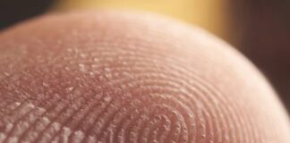 Suç soruşturmalarında yalnızca failin kimliğini belirlemek değil, aynı zamanda nasıl biri olduğunu anlamak da büyük önem taşır. Bu noktada parmak izi incelemeleri ile kriminal profil çıkarma yöntemleri adli bilimlerin iki farklı ama birbirini destekleyen alanı olarak öne çıkar. Parmak izi, doğrudan kimlik tespiti sağlarken; kriminal profil çıkarma, failin davranış biçimi, alışkanlıkları ve psikolojik eğilimleri hakkında çıkarımlar yapılmasına olanak tanır. Günümüzde bu iki yaklaşımın birlikte değerlendirilmesi, suçların daha hızlı ve doğru şekilde aydınlatılmasına katkı sağlamaktadır. Konulu bir haber görseli.