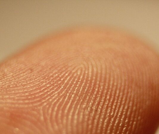 Parmak İzi ve Siber Güvenlikte Dijital Savunmanın Yeni Yüzü Dijitalleşmenin hız kazanmasıyla birlikte siber tehditlerin kapsamı ve karmaşıklığı da ciddi biçimde arttı. Klasik şifreleme ve parola tabanlı güvenlik sistemleri, günümüz saldırı yöntemleri karşısında çoğu zaman yetersiz kalabiliyor. Bu noktada parmak izi temelli biyometrik çözümler, siber güvenlik alanında yeni bir savunma katmanı olarak öne çıkıyor. Kişiye özgü ve taklit edilmesi zor bir veri olması, parmak izini dijital güvenlik stratejilerinin merkezine taşıyor. Konulu bir haber görseli.