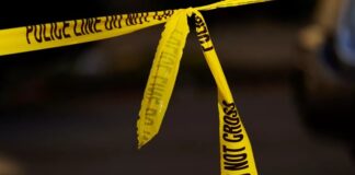 Seri cinayet vakaları, toplumda derin korku ve güvensizlik yaratan, çözülmesi ise uzun ve karmaşık süreçler gerektiren suç türleri arasında yer almaktadır. Bu tür vakalar, genellikle belirli bir zaman dilimine yayılan, benzer yöntemler ve davranış kalıpları içeren cinayetlerden oluşur. Seri cinayet olgusu, yalnızca adli değil aynı zamanda psikolojik ve sosyolojik boyutlarıyla da ele alınması gereken bir konudur. Güvenlik güçlerinin ve adli birimlerin yürüttüğü titiz çalışmalar, bu karmaşık suçların aydınlatılmasında hayati rol oynamaktadır. Konulu bir haber görseli.