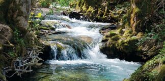 Su, yaşamın sürdürülebilmesi için vazgeçilmez bir doğal kaynaktır. İçme suyundan tarıma, sanayiden ekosistemin devamlılığına kadar her alanda kritik bir role sahiptir. Bu nedenle su kaynaklarının korunması yalnızca çevresel bir mesele değil, aynı zamanda hukuki ve toplumsal bir zorunluluktur. Su kaynaklarına zarar verme suçu, bireysel çıkarlar ya da ihmaller sonucu toplumun tamamını etkileyen ciddi sonuçlar doğurur. Türkiye’de ve dünyada artan su krizi, bu suçun önemini her geçen gün daha da artırmaktadır. Konulu bir haber görseli.